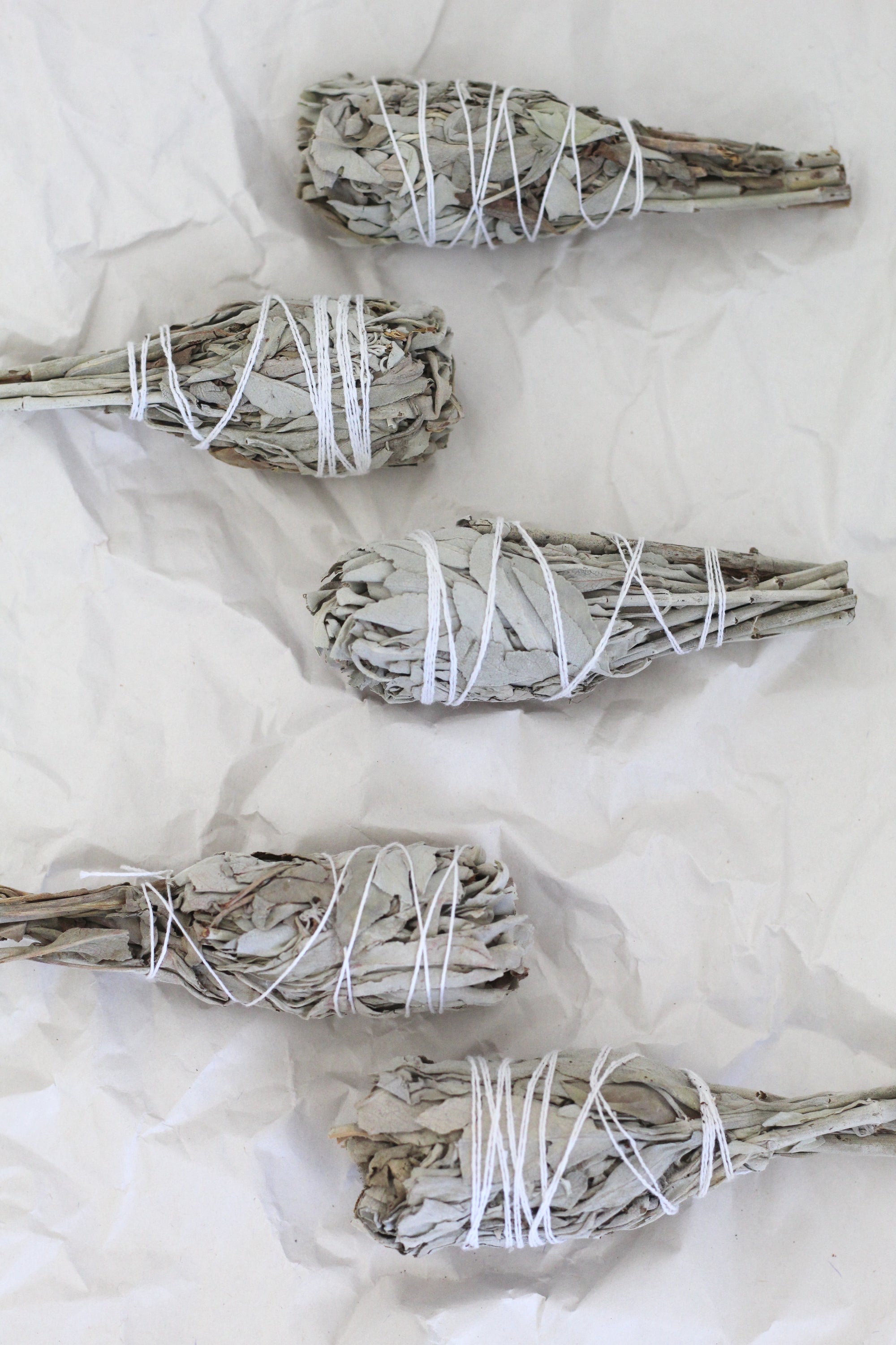 Organic White Sage Smudge Stick