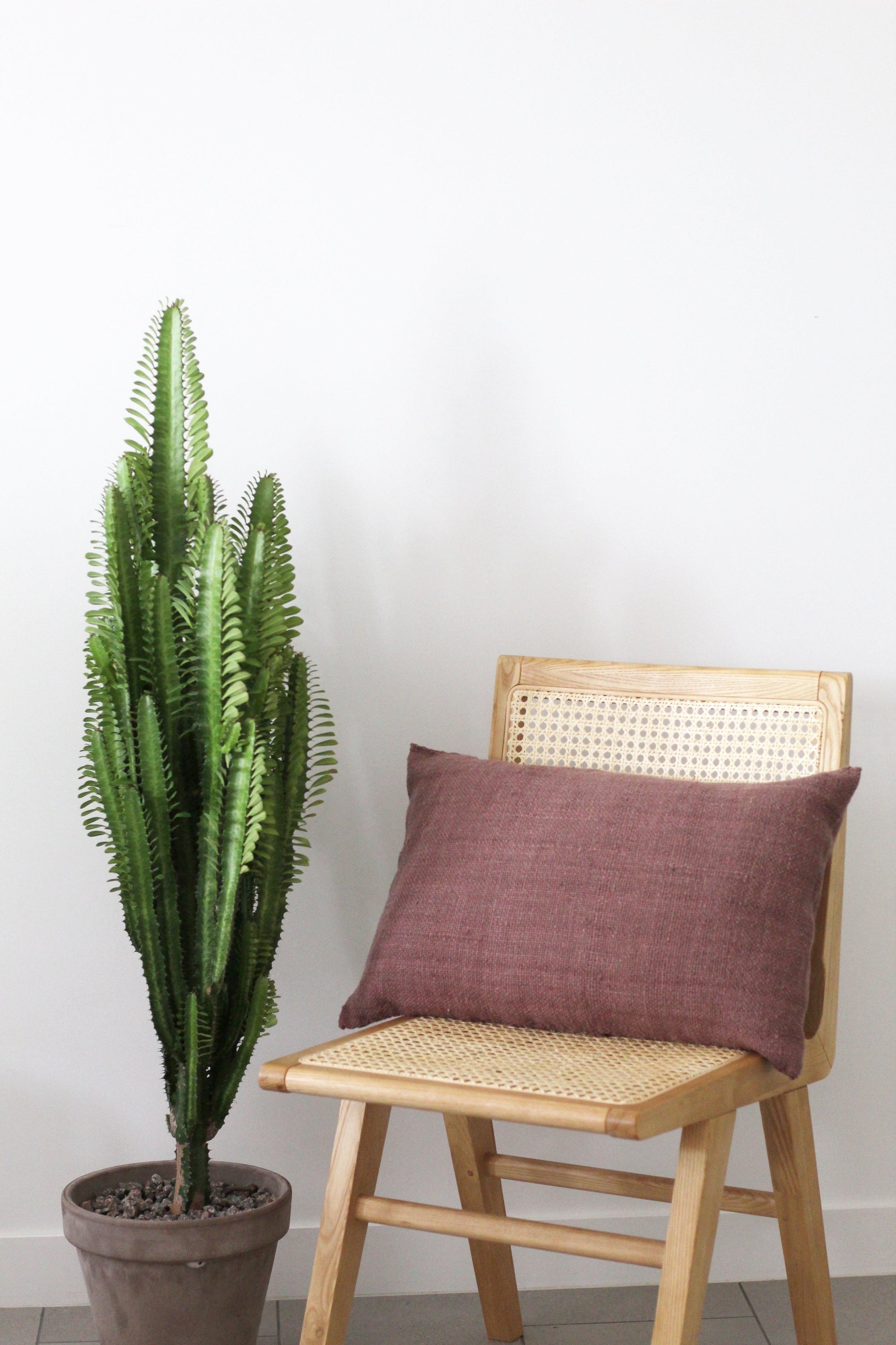 Rectangle Norte Cushion | Pecan - Casapacha